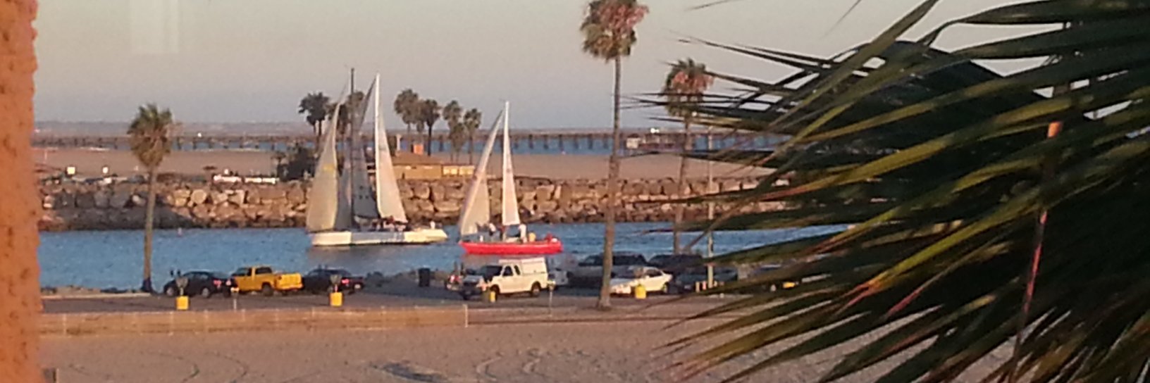 Stevie Wilson banner