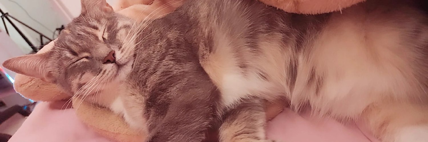 xSunshineMichi's profile banner image