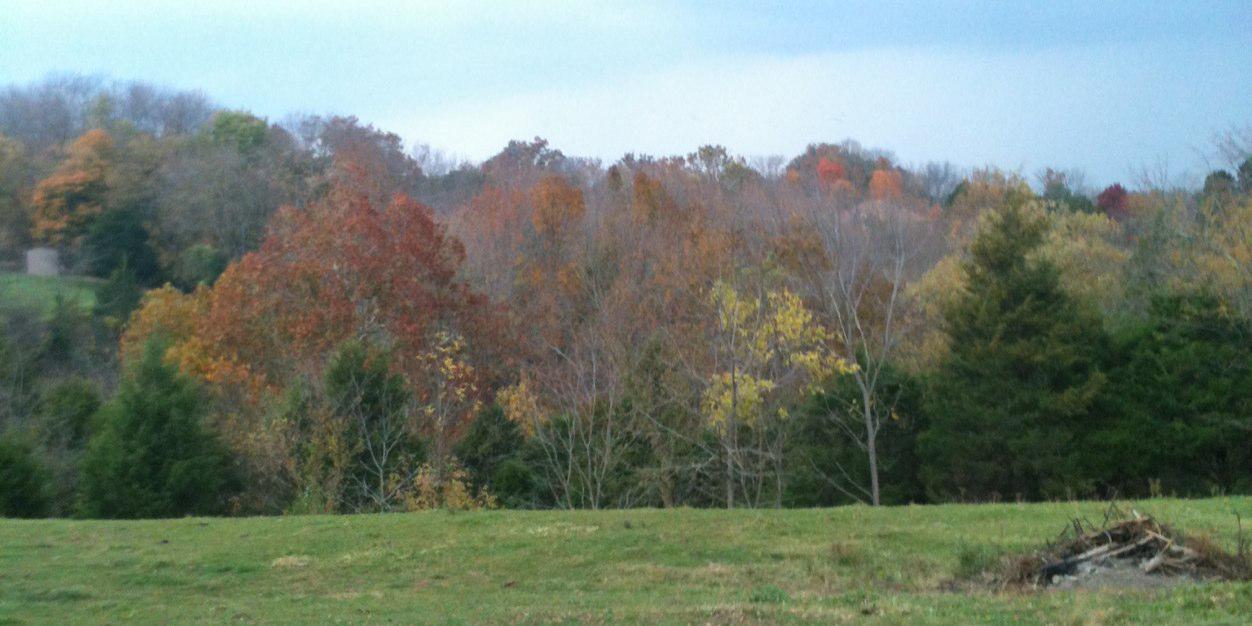 terri tucker banner