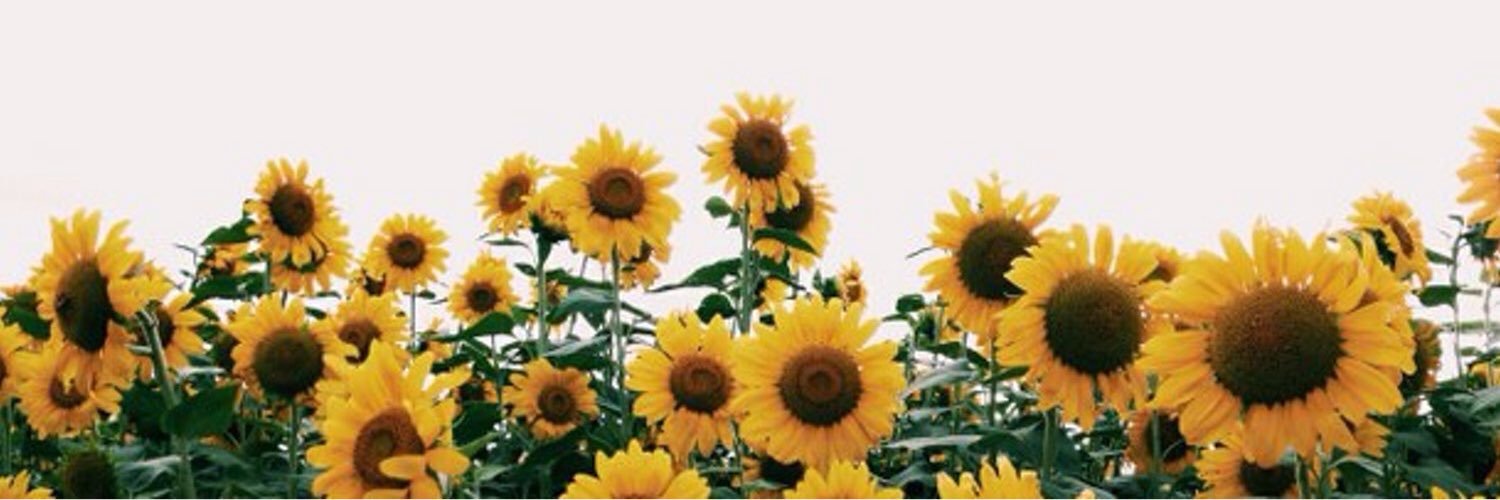 eletorrc's profile banner image