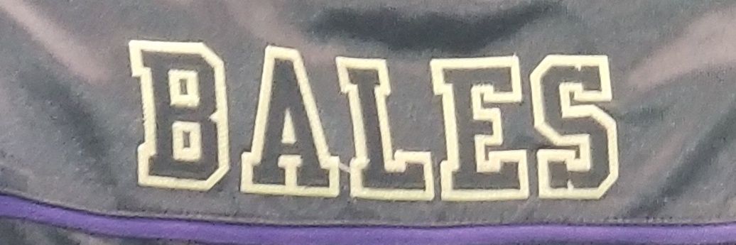 Benjamin Bales banner