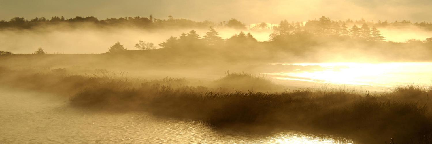 nocommenttv's profile banner image