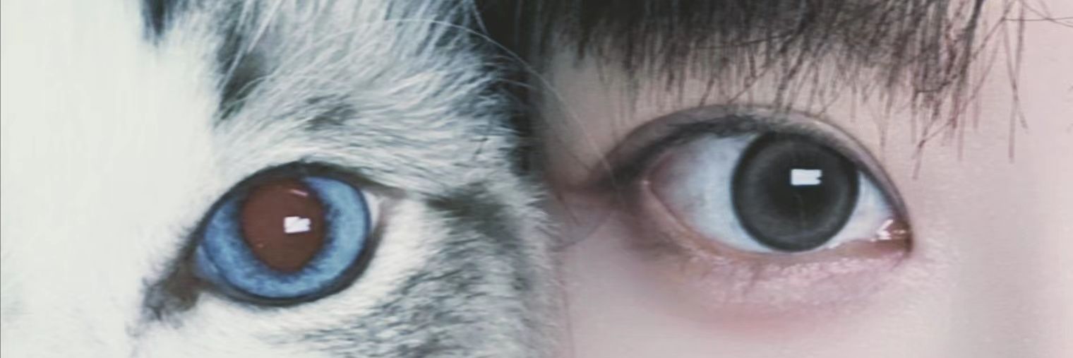 LesliedeLeon2's profile banner image