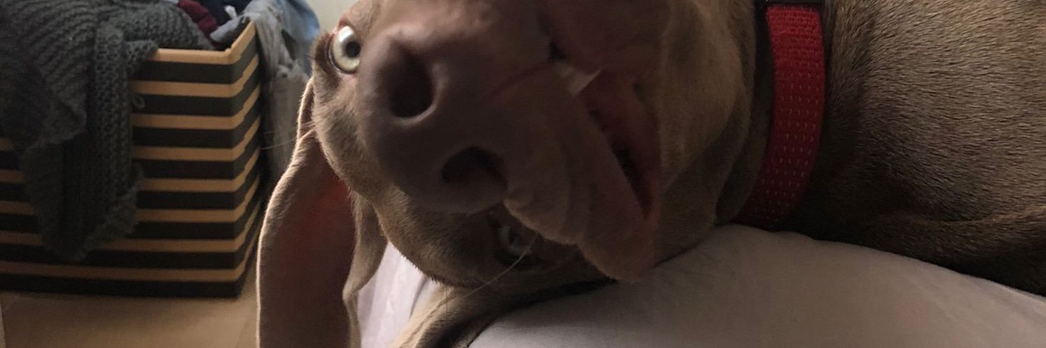 visogomezz's profile banner image