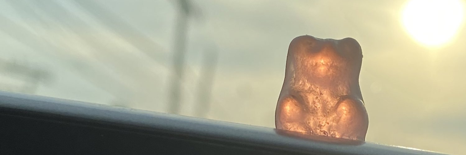 RebeZepeda's profile banner image