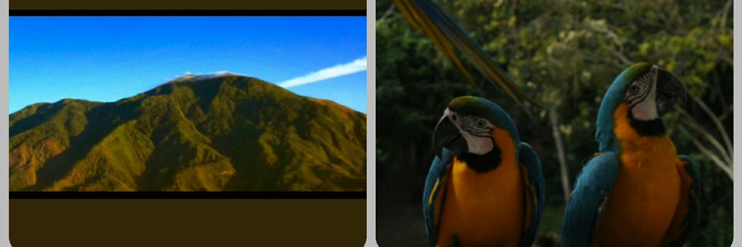 marivalenta76's profile banner image