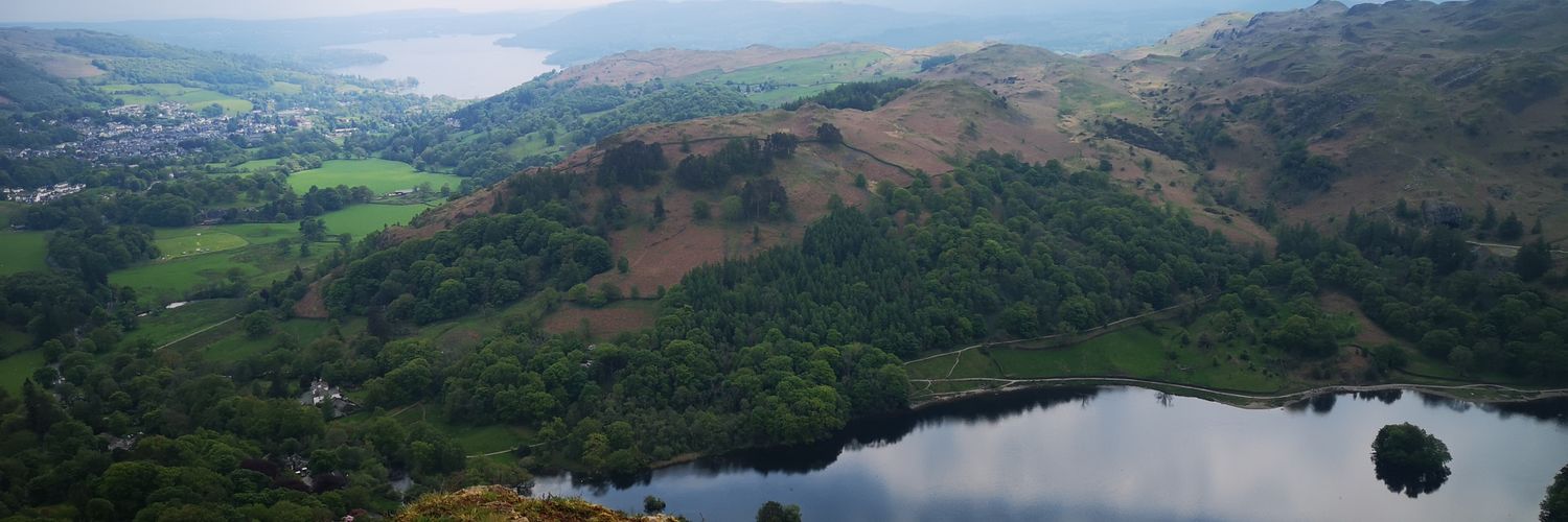 jenny hibberd banner