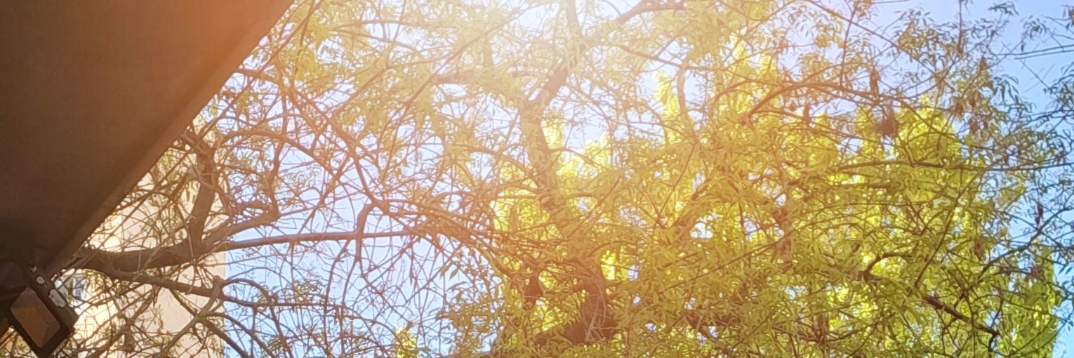 RiveroJuly's profile banner image