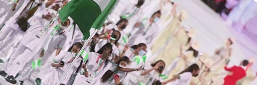 M.O. Oluwagbemi, FNSE (TMZ) banner