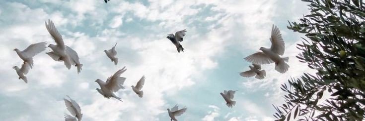 ll_3l_'s profile banner image