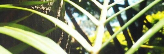 Gustavogagg's profile banner image