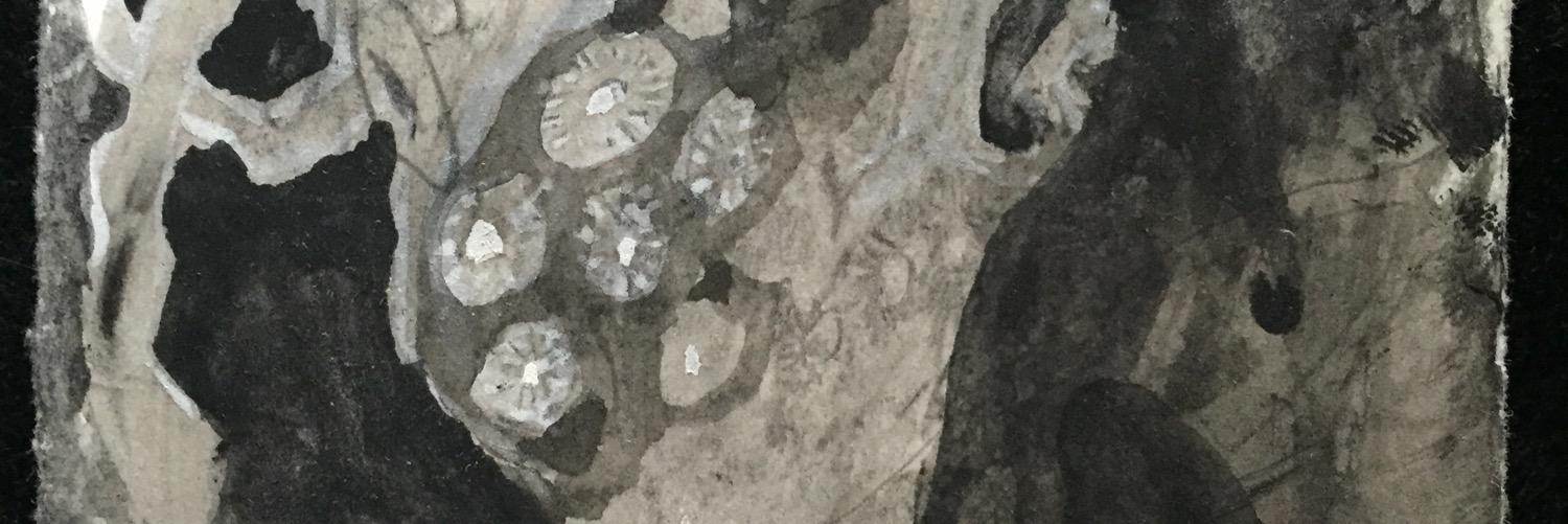 Emily Vickers☮️ banner