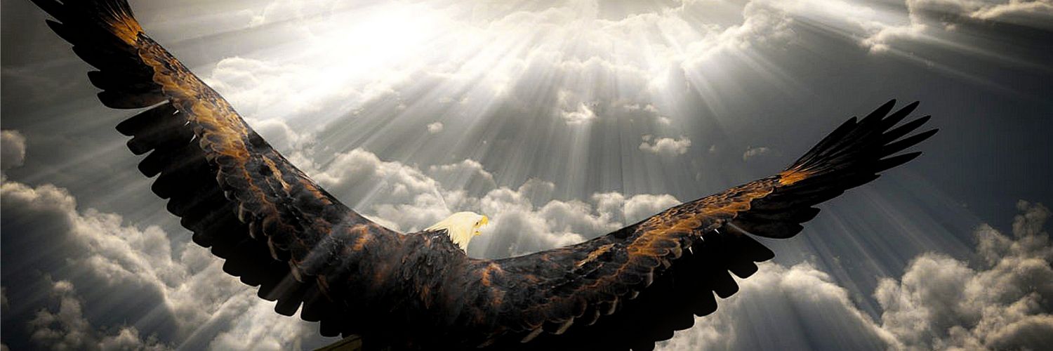 Mertddc's profile banner image