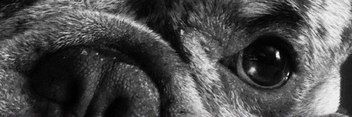 _mainfocus's profile banner image
