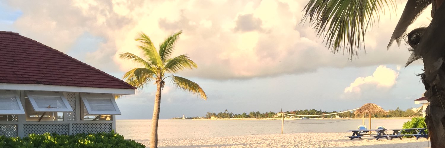 emileeshattuck's profile banner image