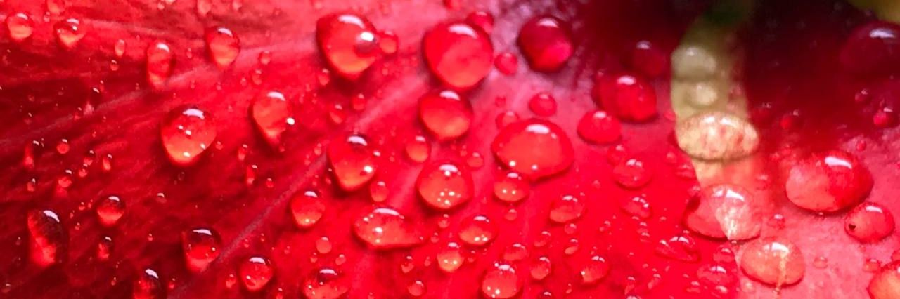 SureshMendem's profile banner image