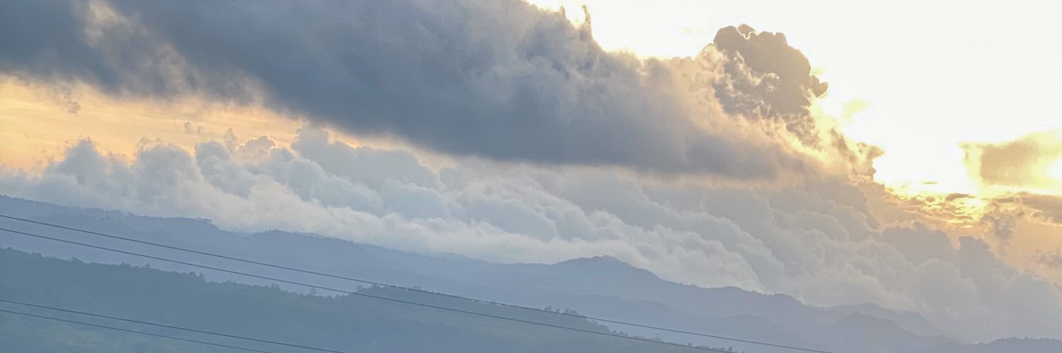 lizzypm_'s profile banner image