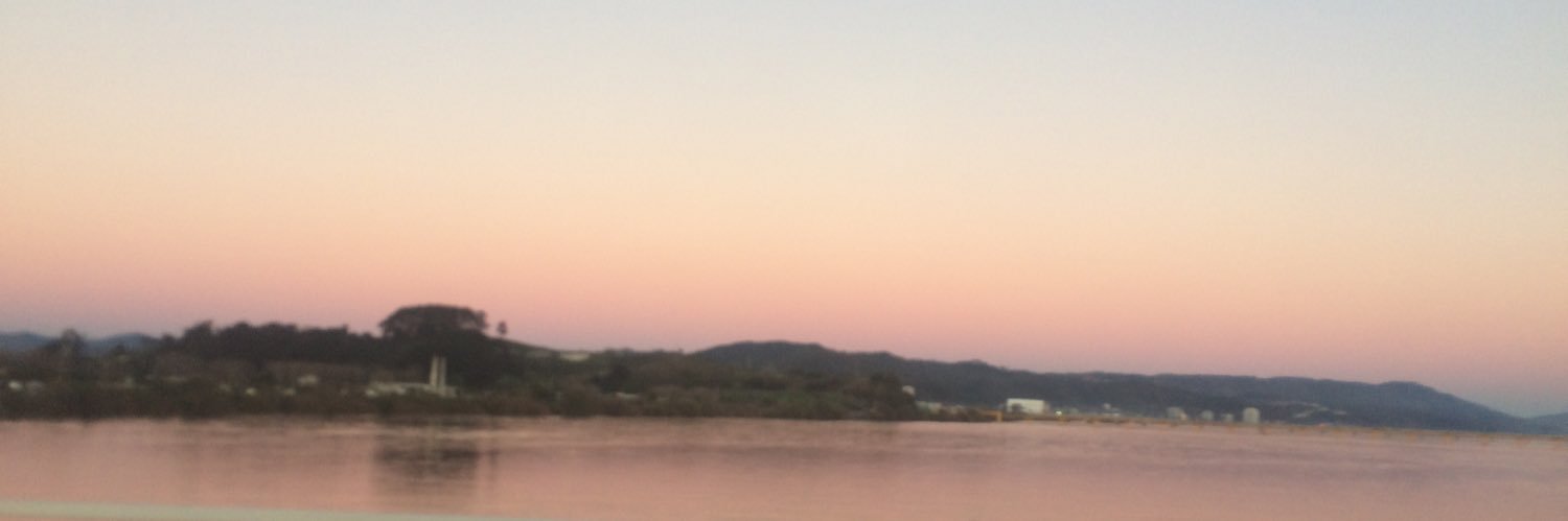 antonietaavello's profile banner image