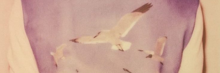 thefateofice's profile banner image