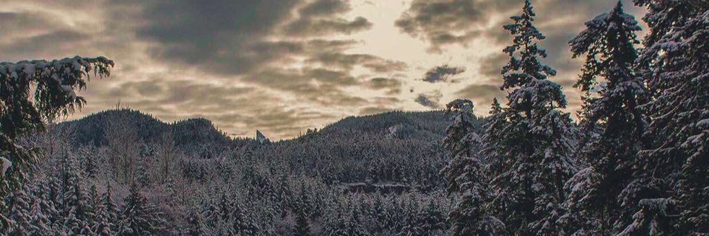 robinjay27's profile banner image