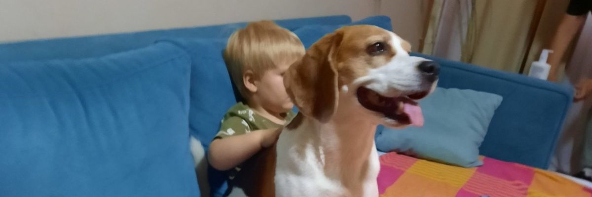 PVeselic's profile banner image