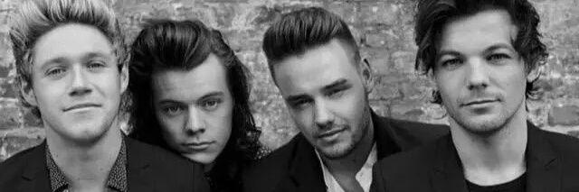 fabi_1D's profile banner image