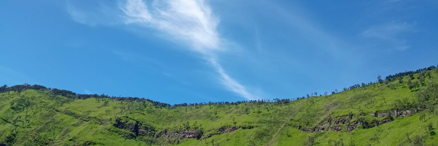 varisaavav's profile banner image