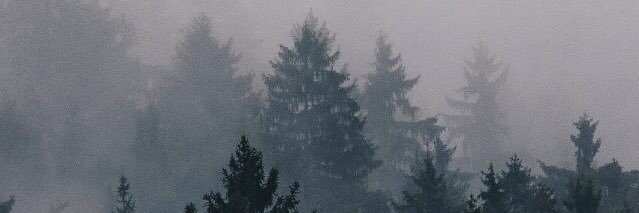 lc_3344's profile banner image