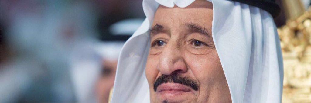 أ.د. محمد التركي banner