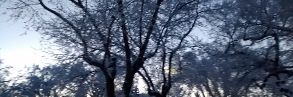 GregMacArthur1 Profile Banner