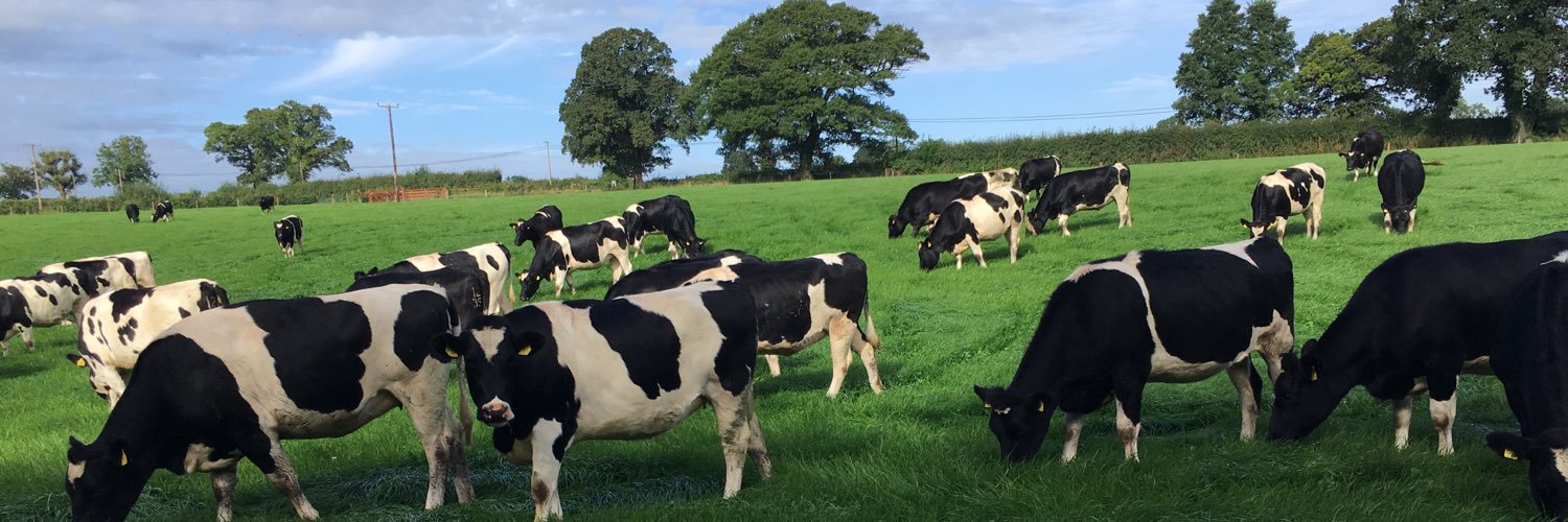 George Howard banner