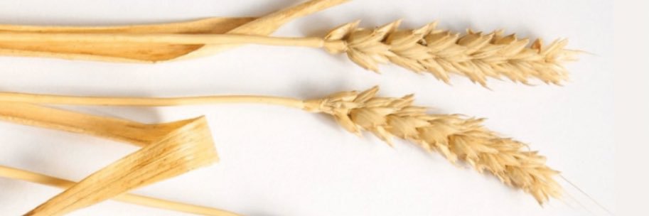 davbort's profile banner image
