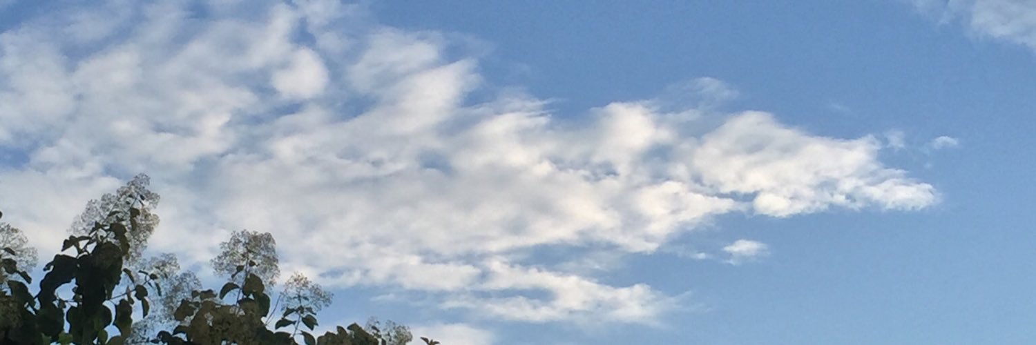 Shubhsarch's profile banner image