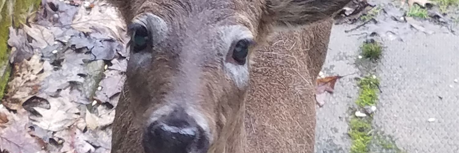 jbjthom's profile banner image