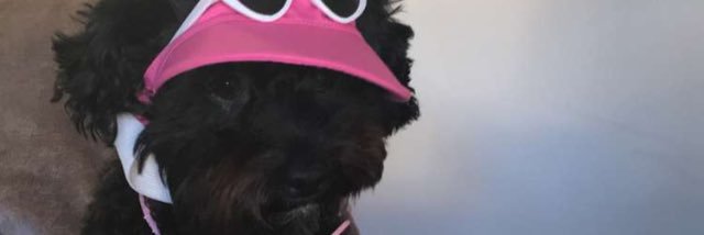Megs_mam's profile banner image