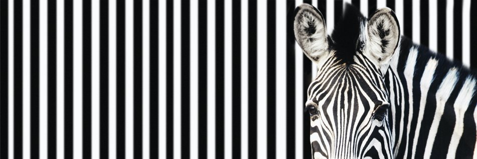 CourtneyLKay's profile banner image