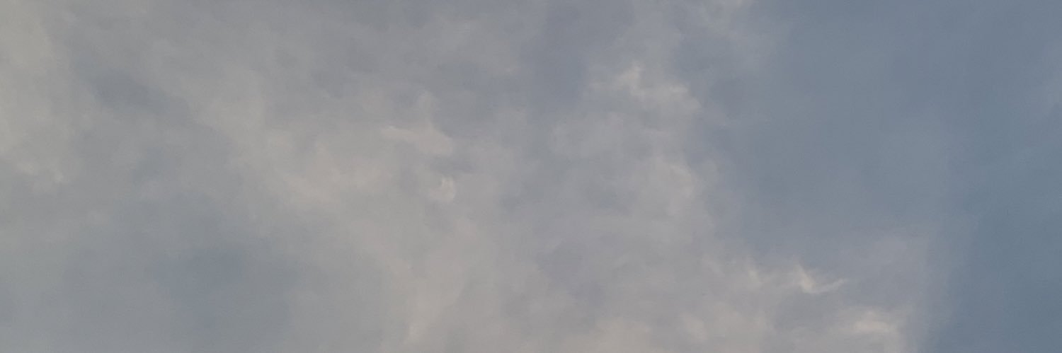 grandeftbieber's profile banner image