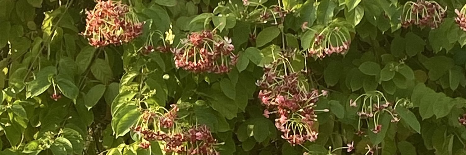 lliverpolll's profile banner image