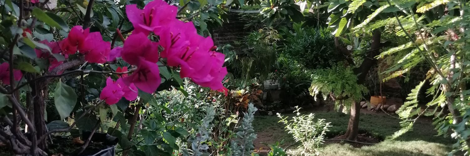 luchoruiz's profile banner image
