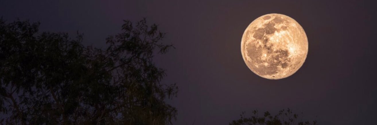 isa_dana's profile banner image