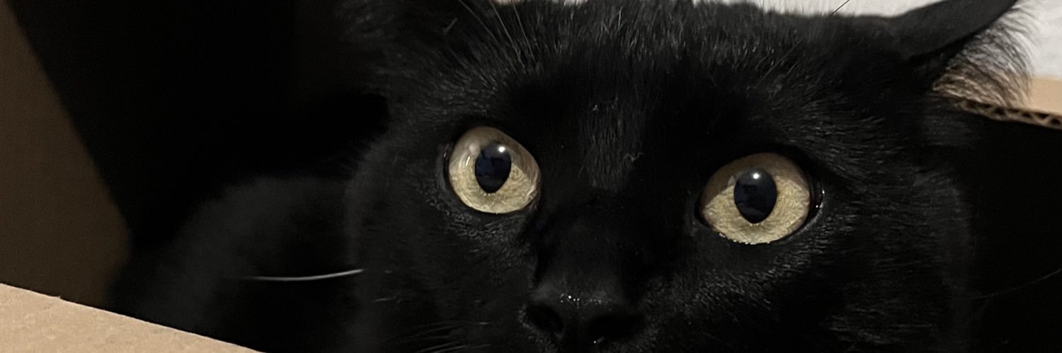whateverapha's profile banner image