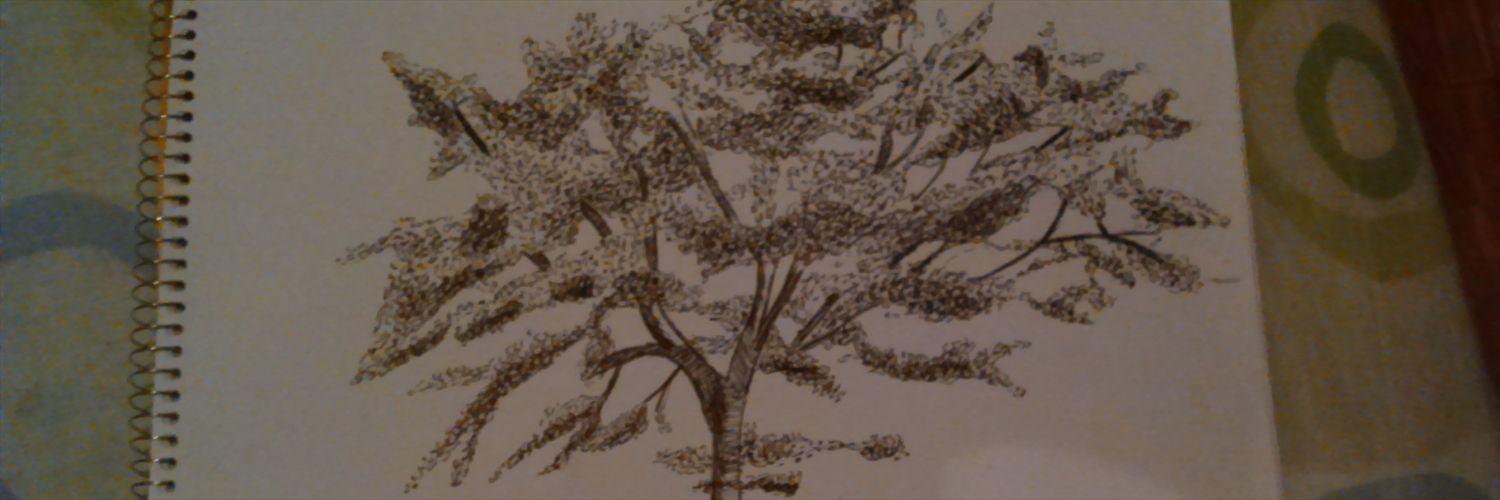 s17_pm's profile banner image