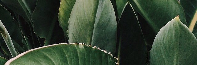 bliindsided's profile banner image