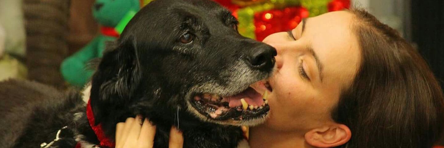 nickeyelder's profile banner image