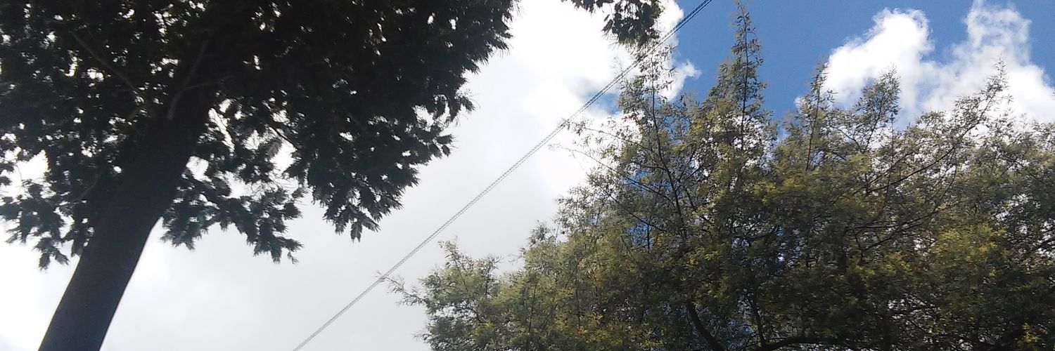 JessiDiaz24's profile banner image