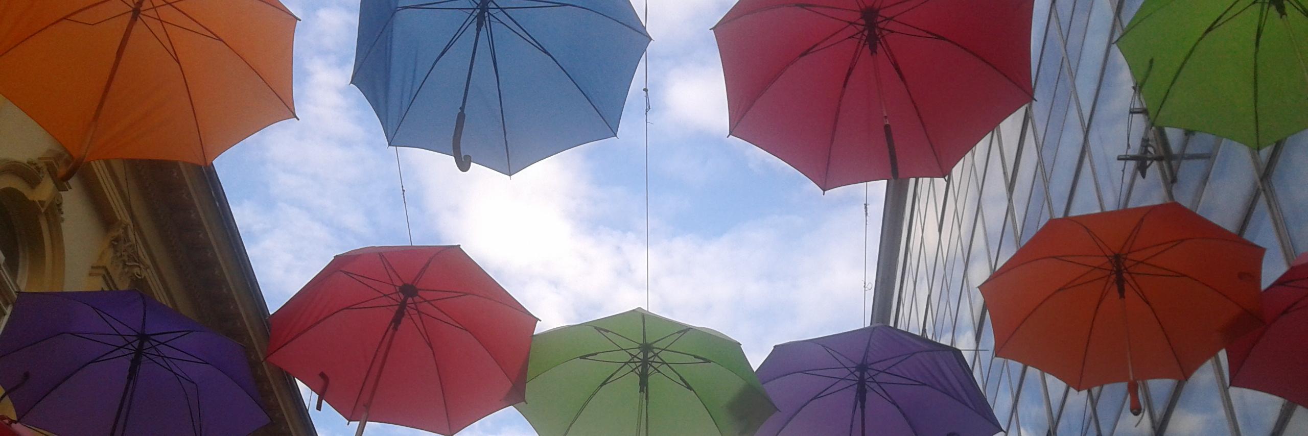 harold_smit's profile banner image