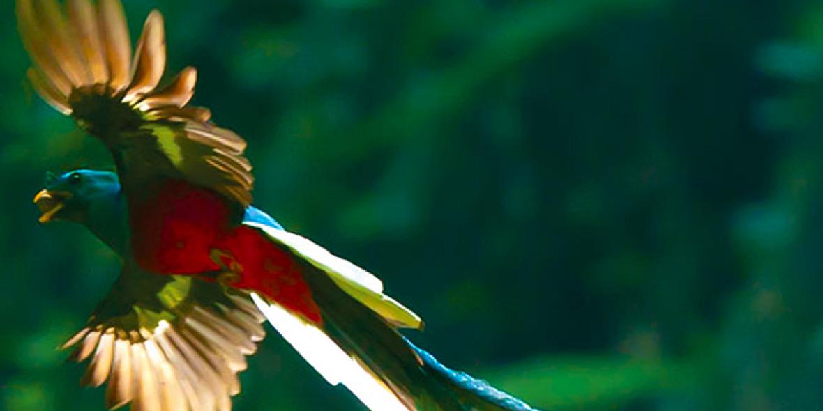 abimaelMF's profile banner image