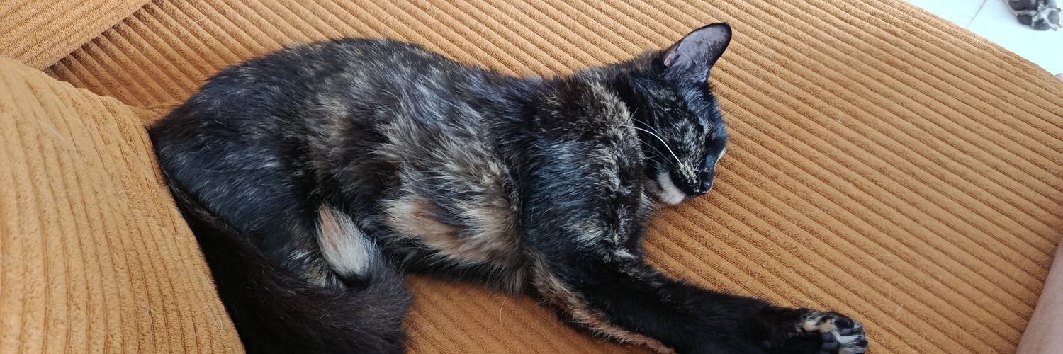 ssǝ⅄ VERÁ A BTS ⊙⊝⊜⁷ banner