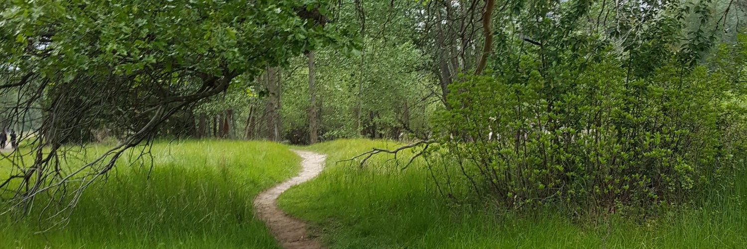LostIn_Silence's profile banner image