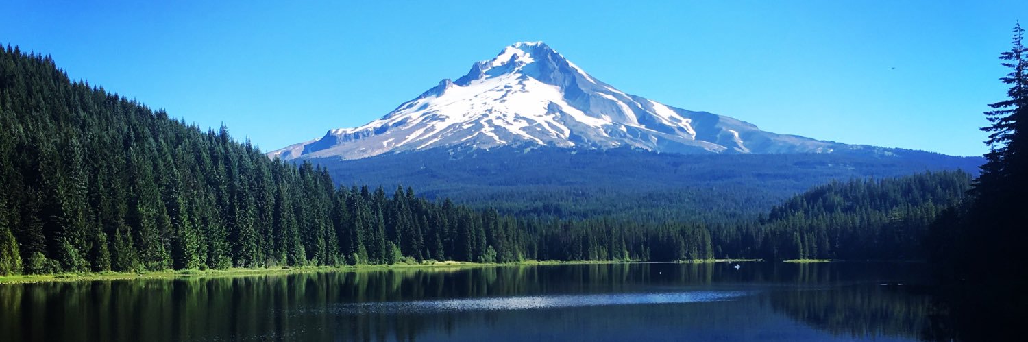 Christa Wagner, PhD banner